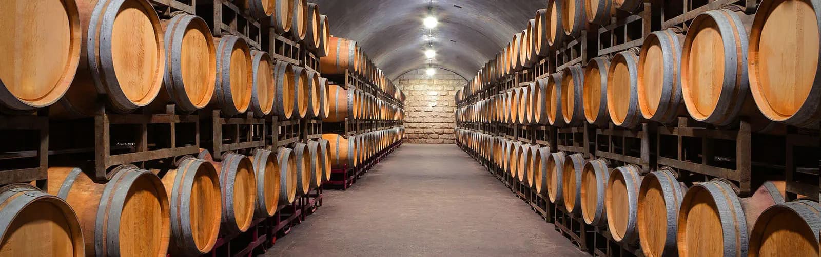 Associazione Italiana Sommelier Toscana