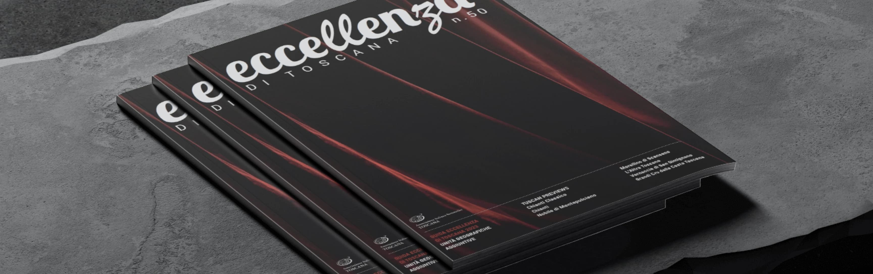 Magazine AIS